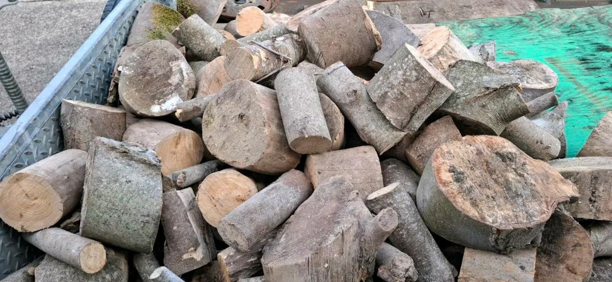 Winter fuel-- Coal-blocks- turf- kindling- logs- - Image 1