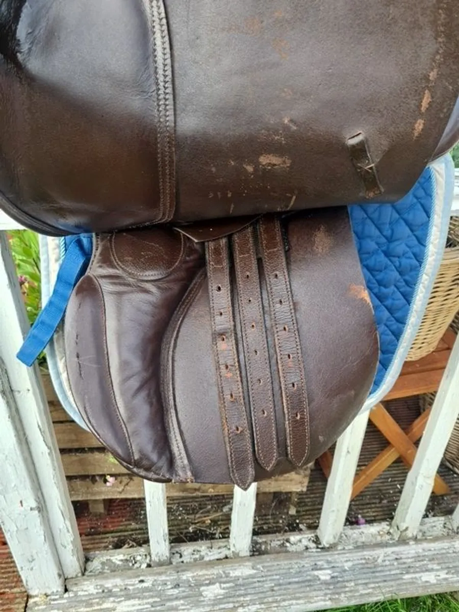 saddle - Image 2