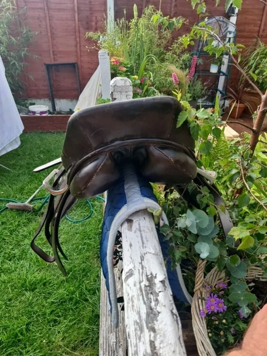 saddle - Image 3