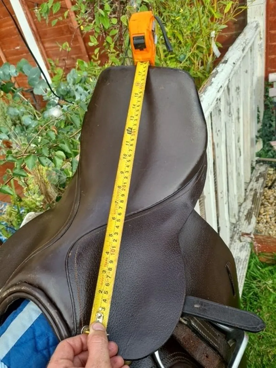 saddle - Image 4