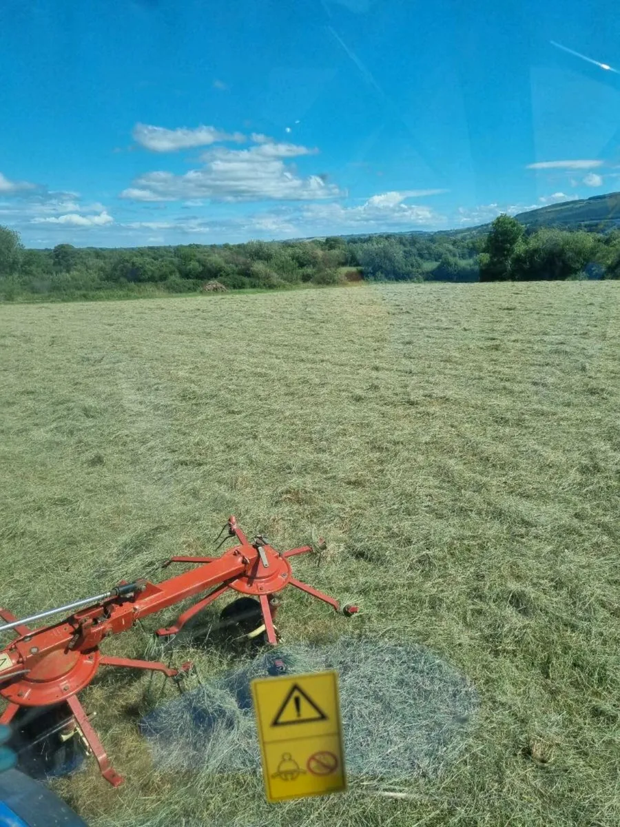Organic Hay - Image 1