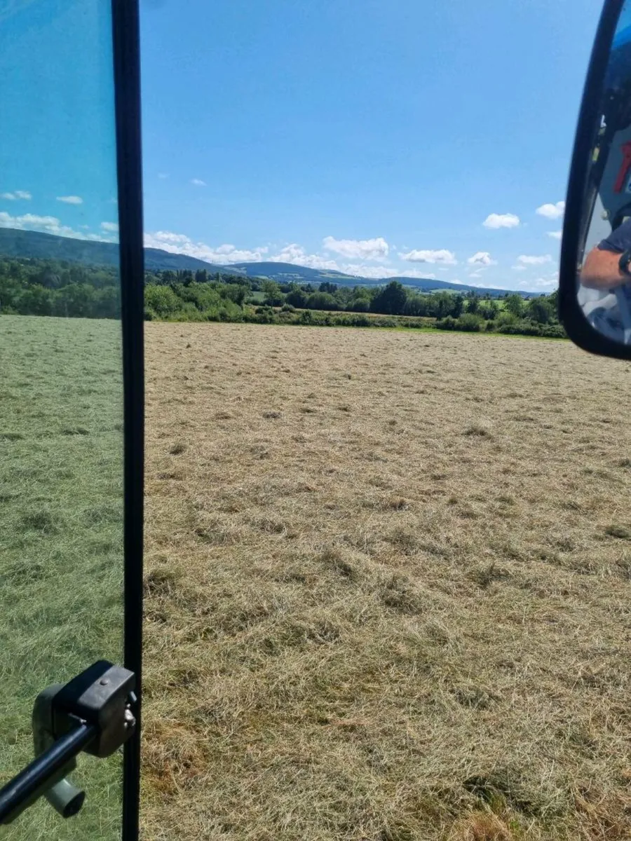 Organic Hay - Image 2