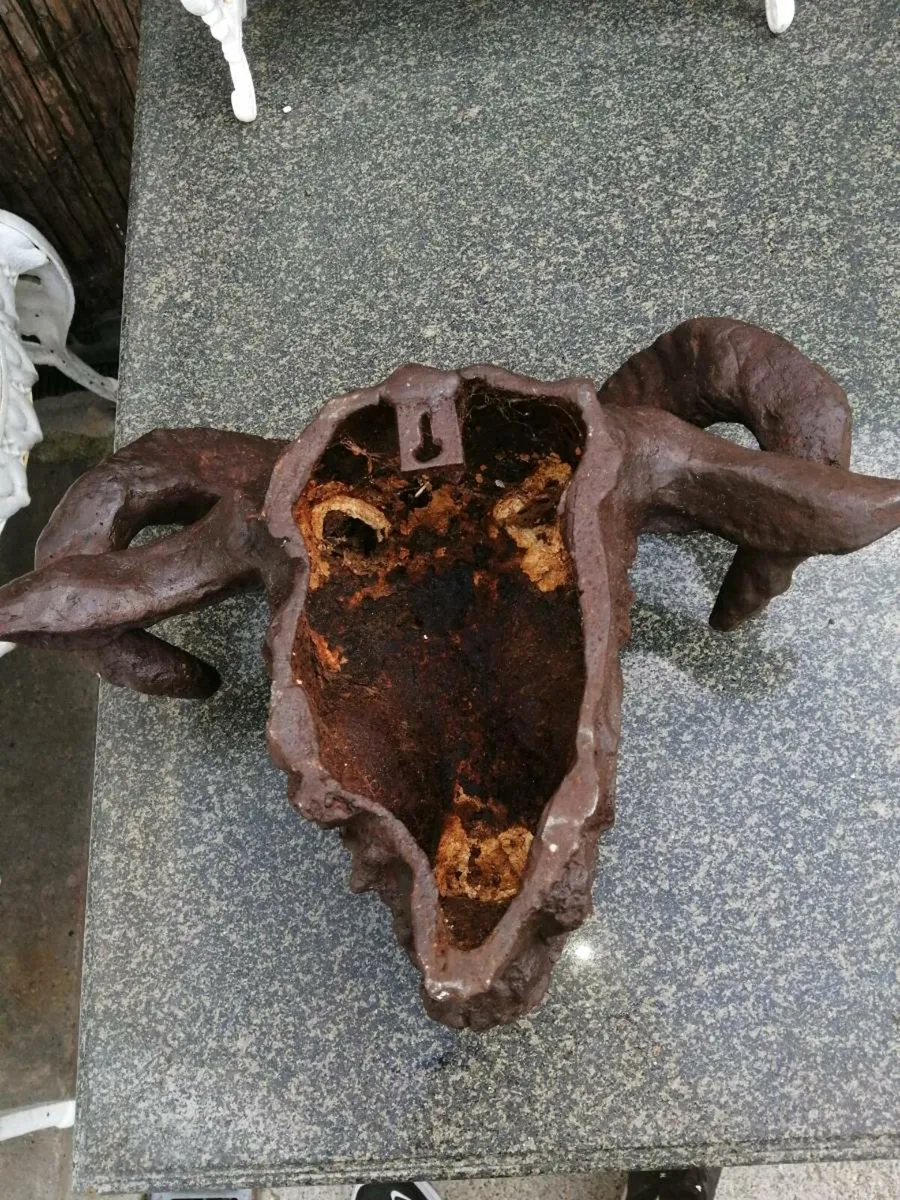 Cast iron rams head - Image 2