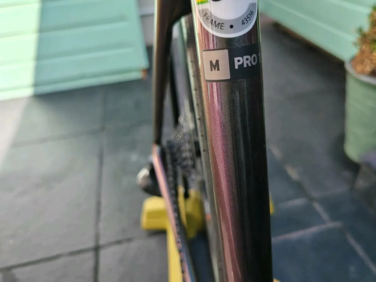Giant TCR adv Pro 1axs  size medium - Image 2