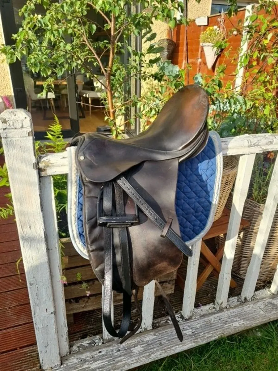 saddles (3) - Image 1