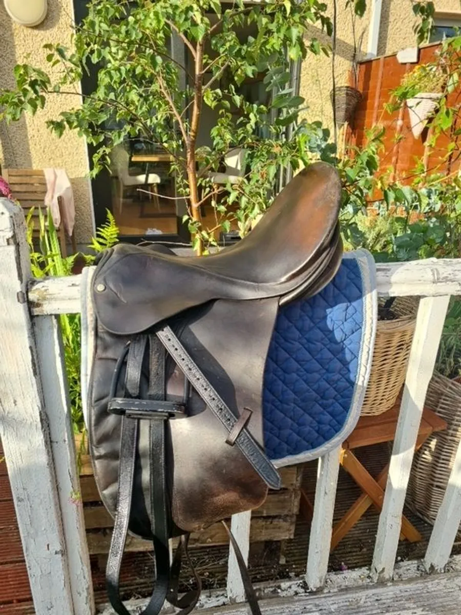 saddles (3) - Image 2