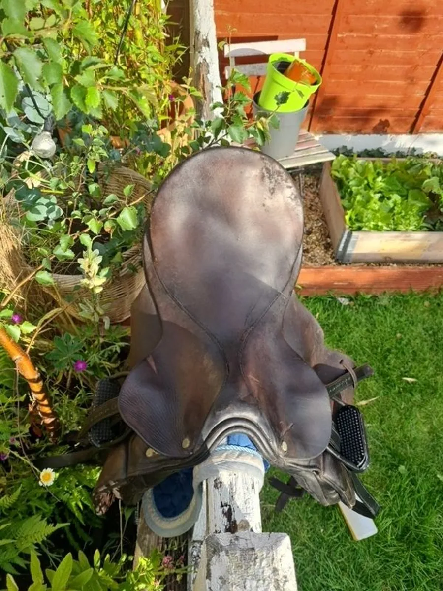 saddles (3) - Image 3