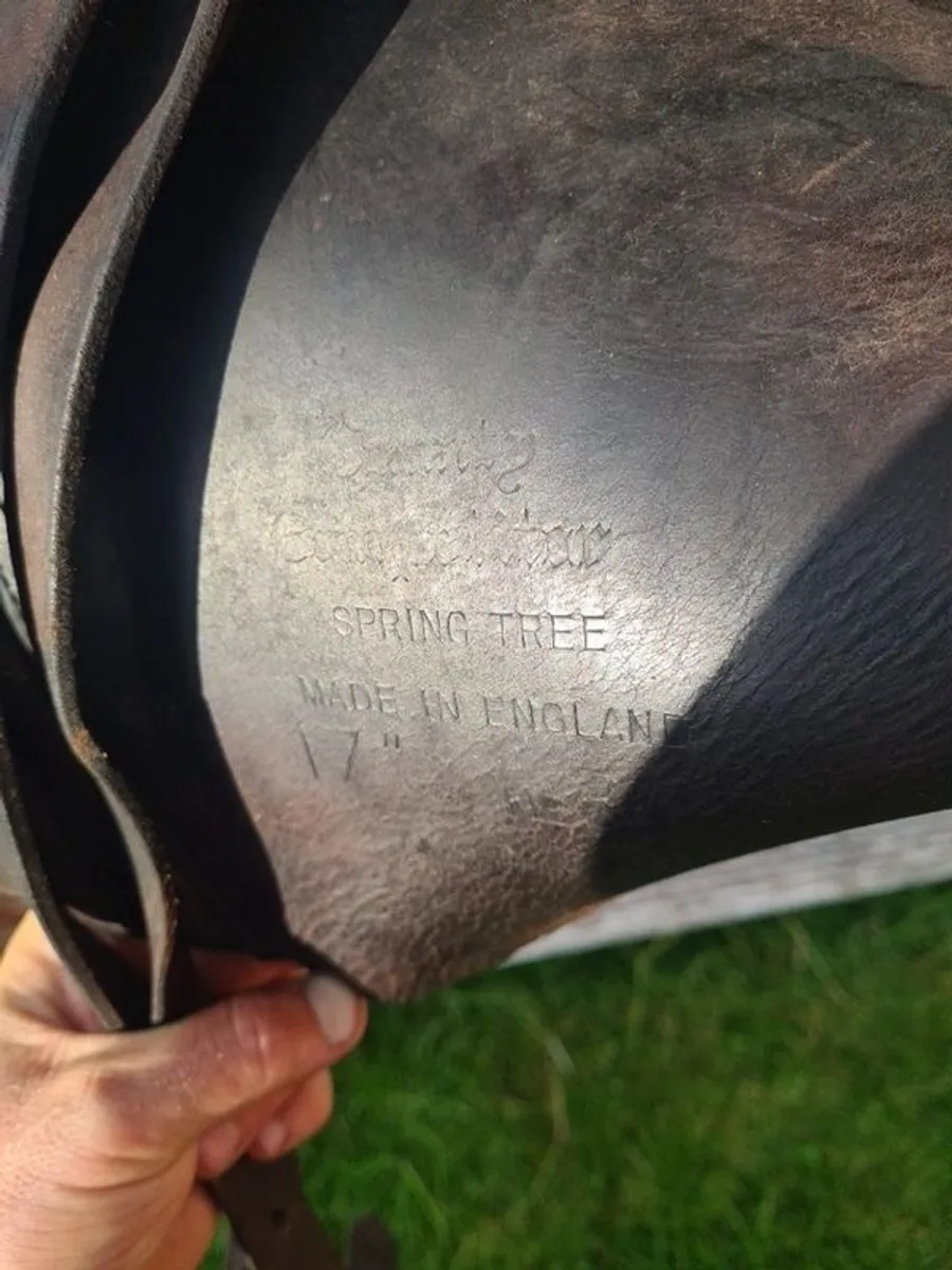 saddles (3) - Image 4