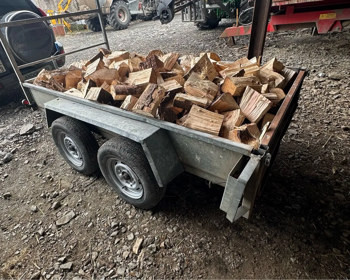 Firewood - Image 1