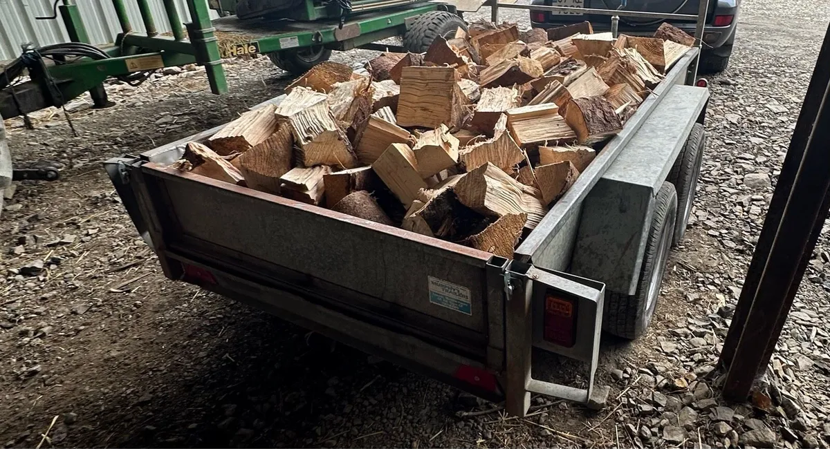 Firewood - Image 3