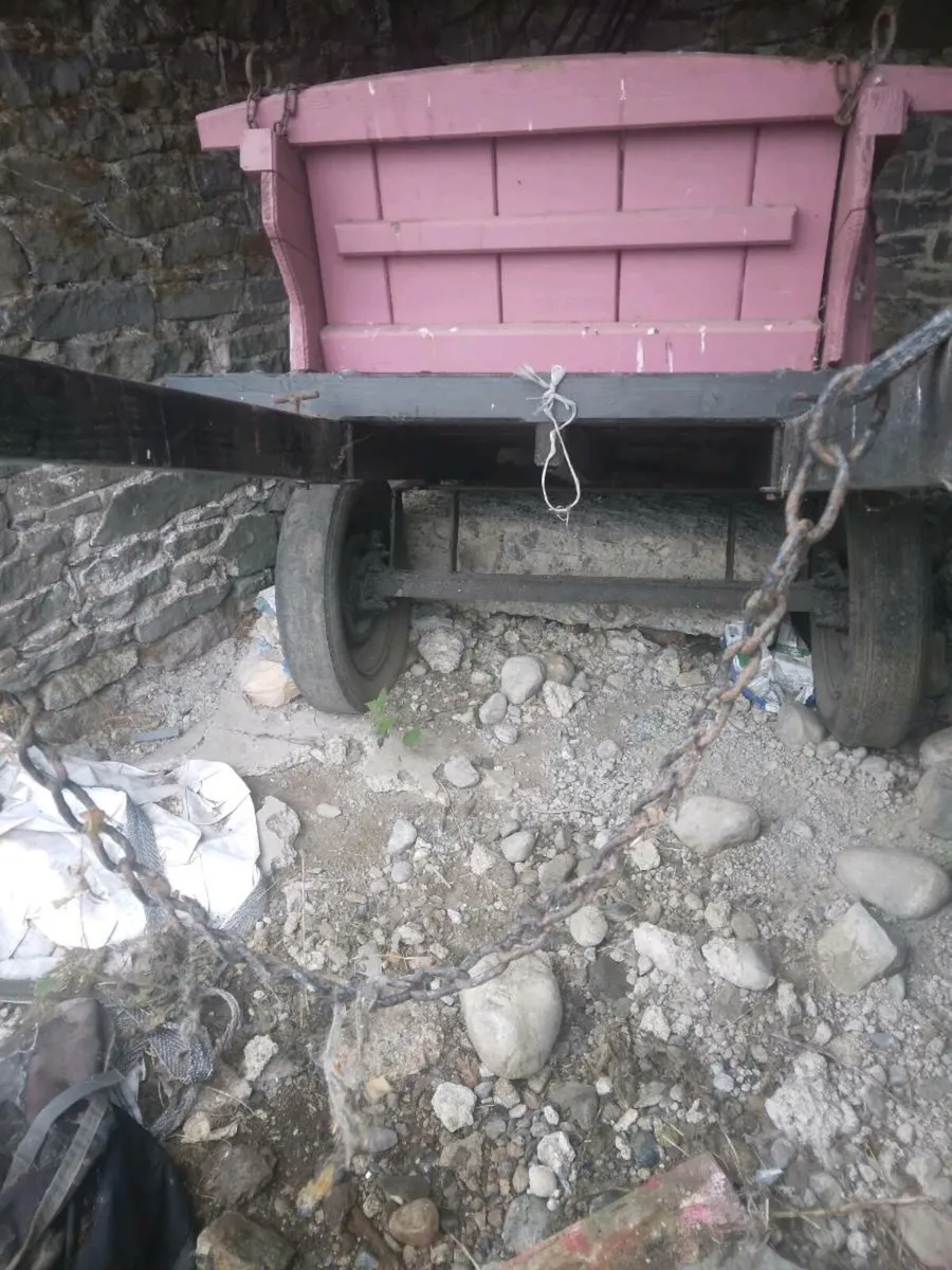 Donkey carts - Image 2