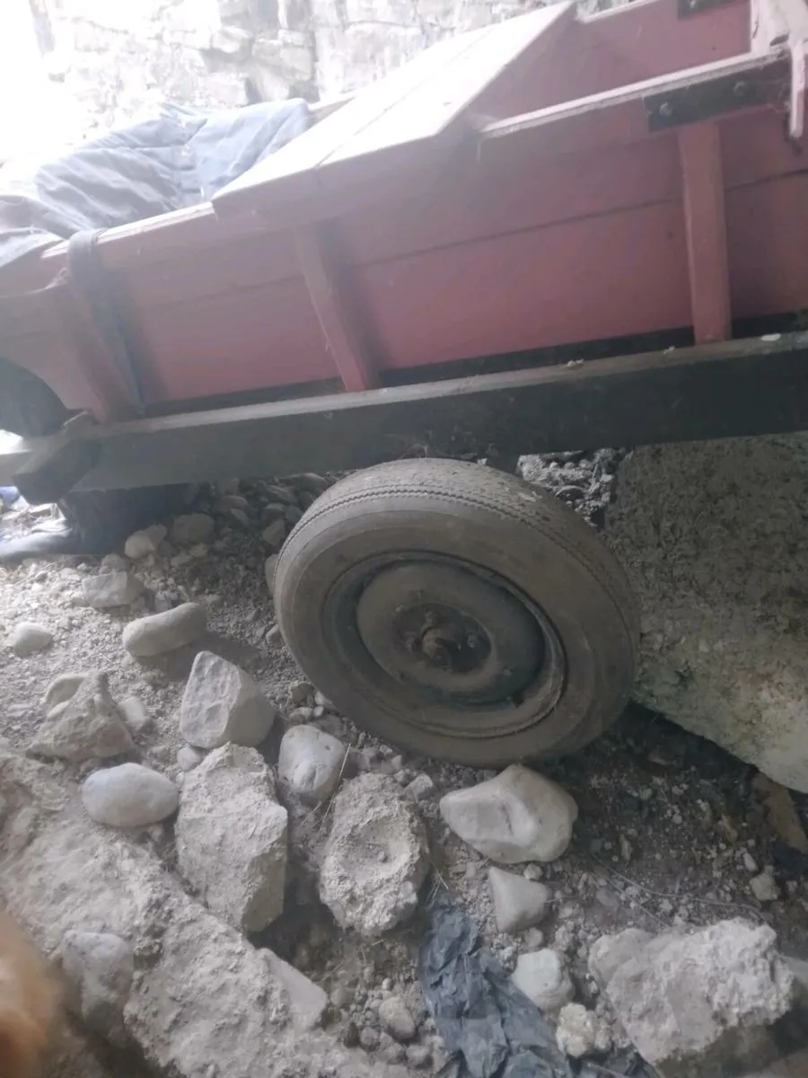Donkey carts - Image 4