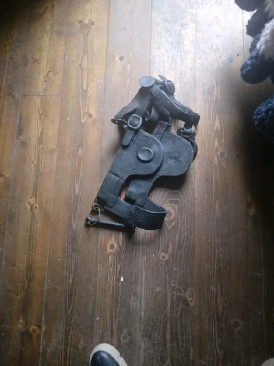 Common donkey harness - Image 1