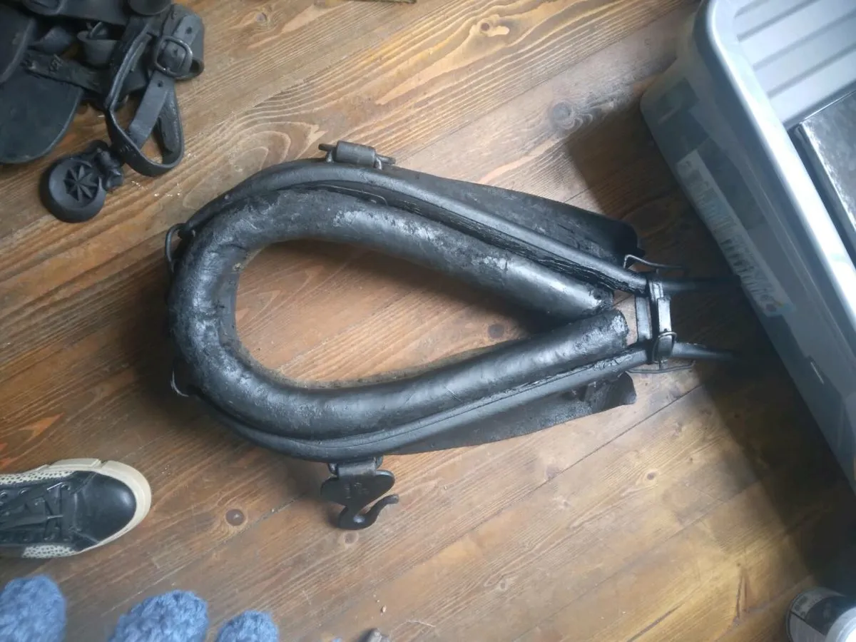 Common donkey harness - Image 2