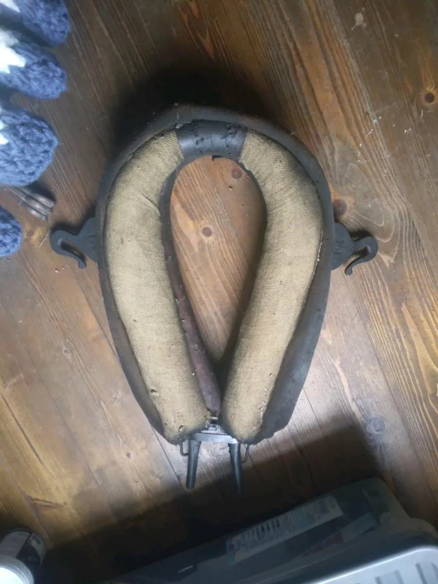 Common donkey harness - Image 3