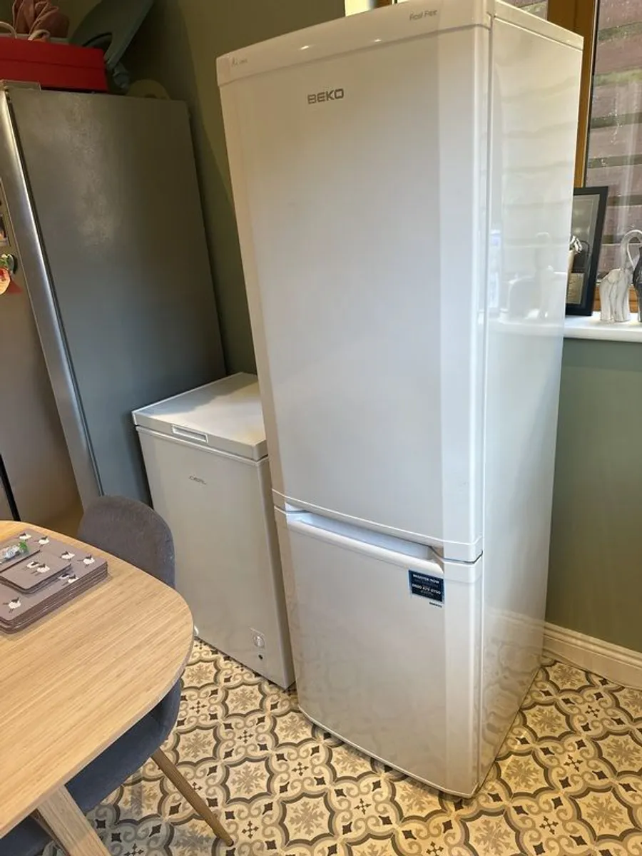fridge freezer and chest freezer  sold together only