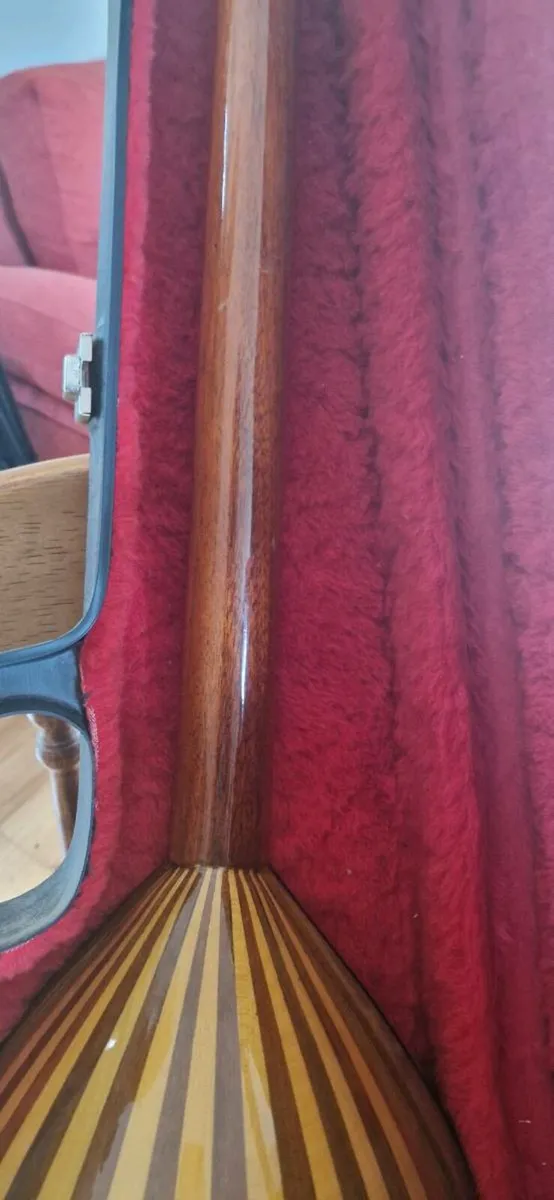 Greek Bouzouki - Image 4