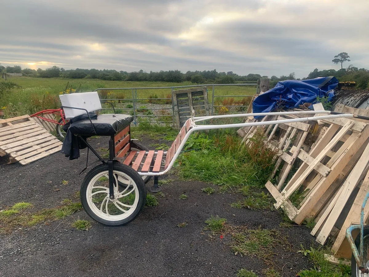 Roadcart - Image 1