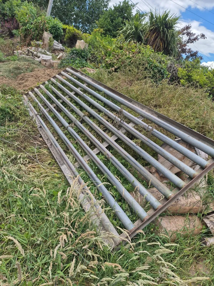 Cattle Grid - Image 1