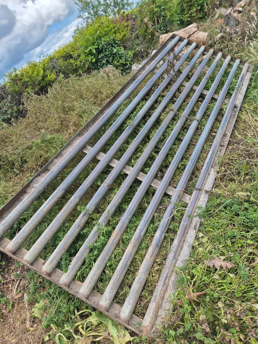 Cattle Grid - Image 2