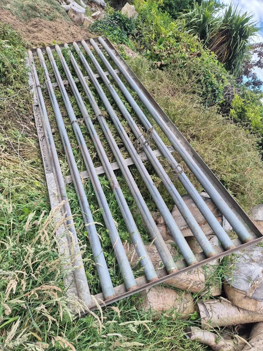 Cattle Grid - Image 3
