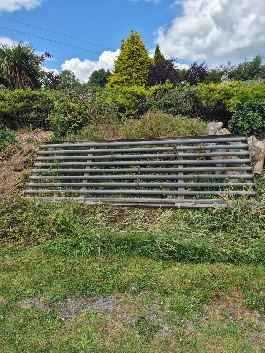 Cattle Grid - Image 4