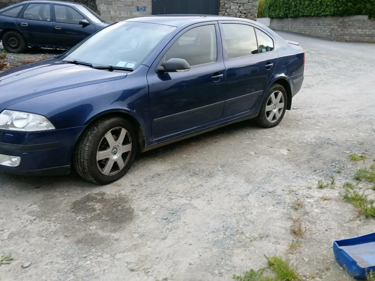 Skoda octavia 1.9tdi - Image 1