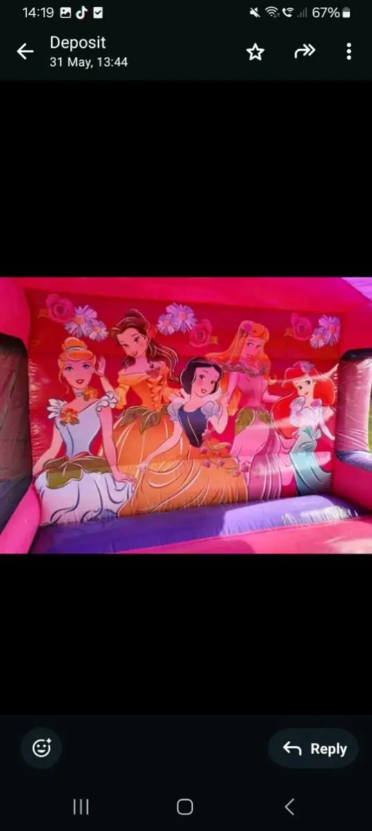 Bouncing castle - Image 4