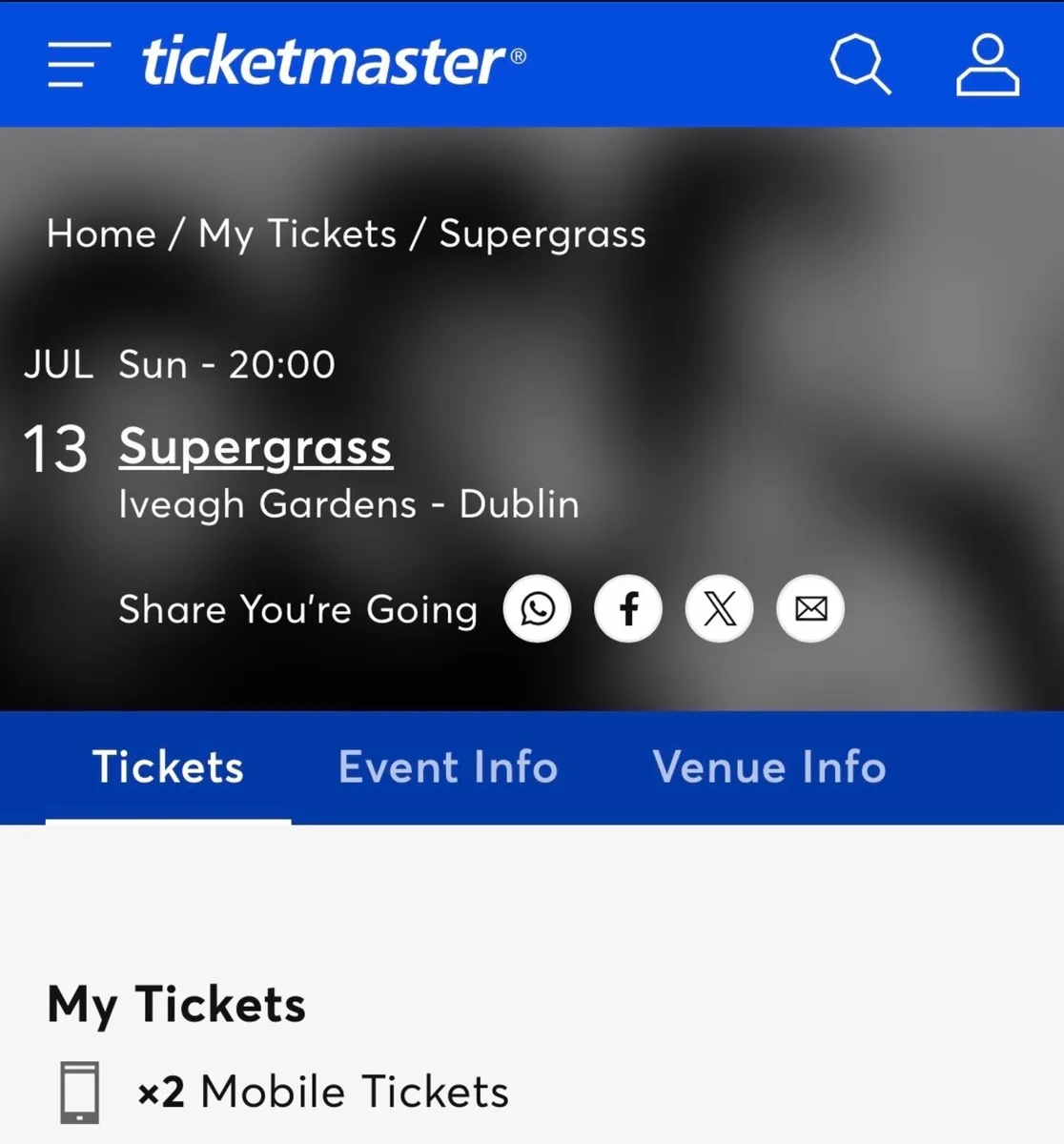 Supergrass 2 tickets Iveagh Gardens