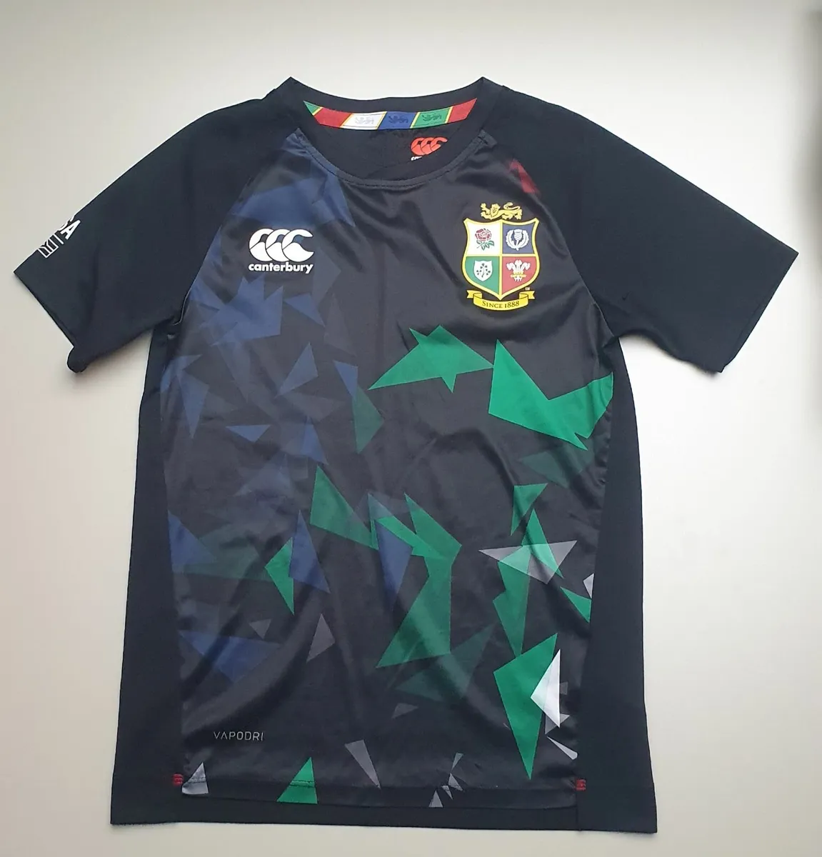 Lions rugby kids jersey in Louth/Donegal - Image 1