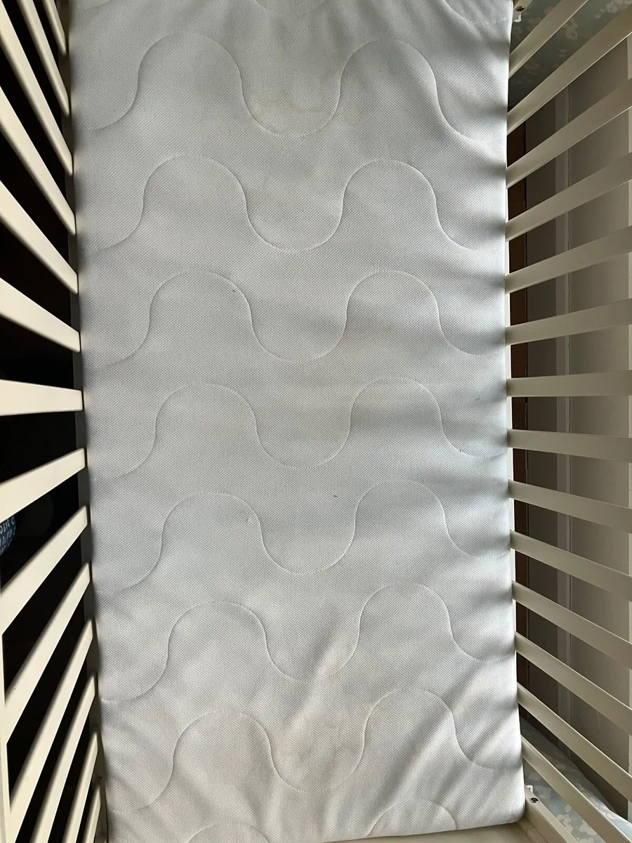 Cot - Image 4