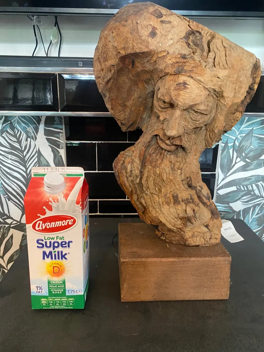 Carved Leonardo da Vinci bust - Image 4