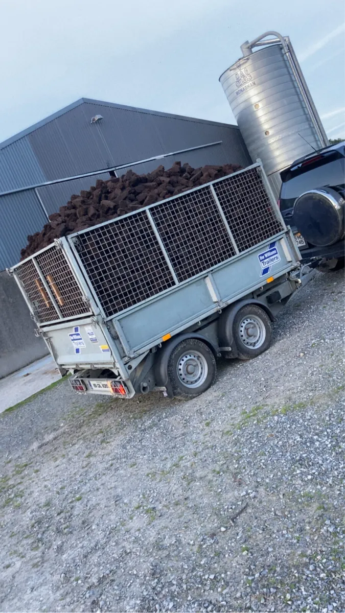 Timber - Image 1