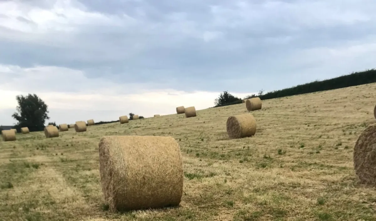 Round Hay Bales - Image 1
