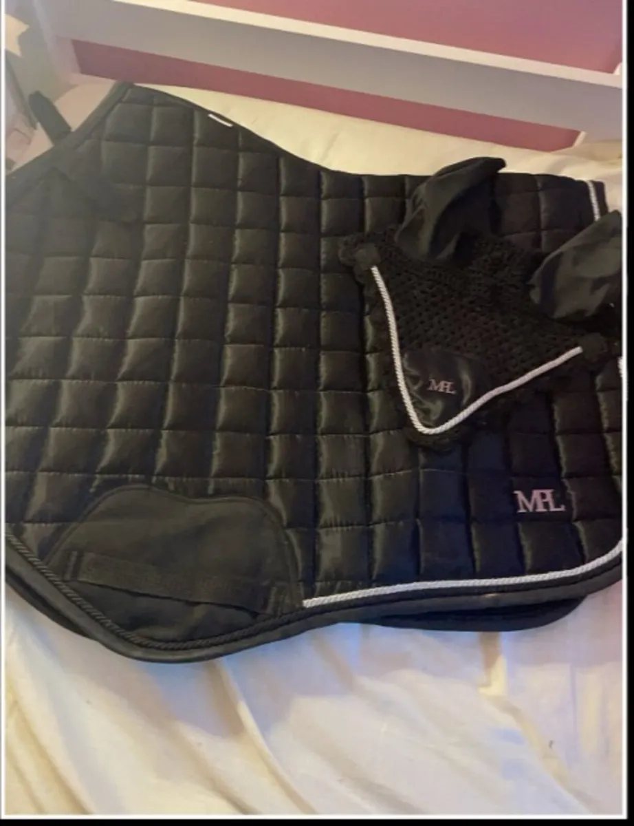 Horse stuff - Image 1