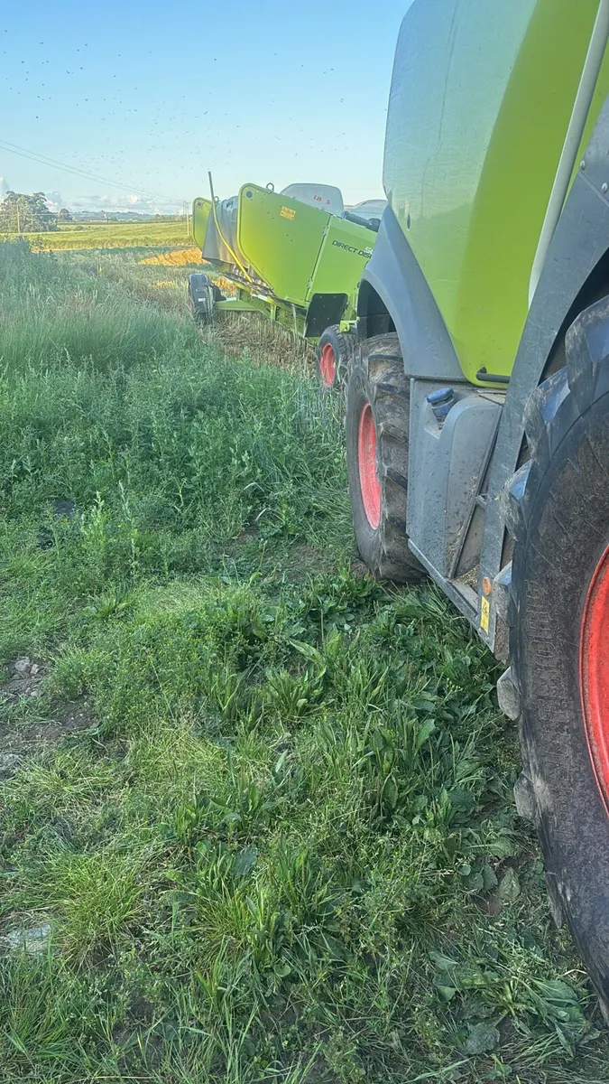 Wholecrop harvesting