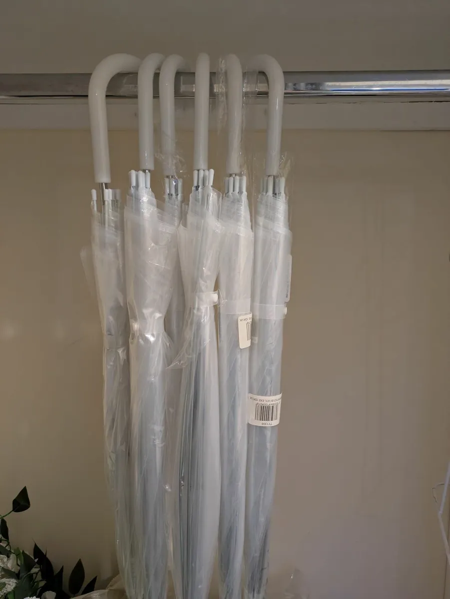 Clear Umbrellas