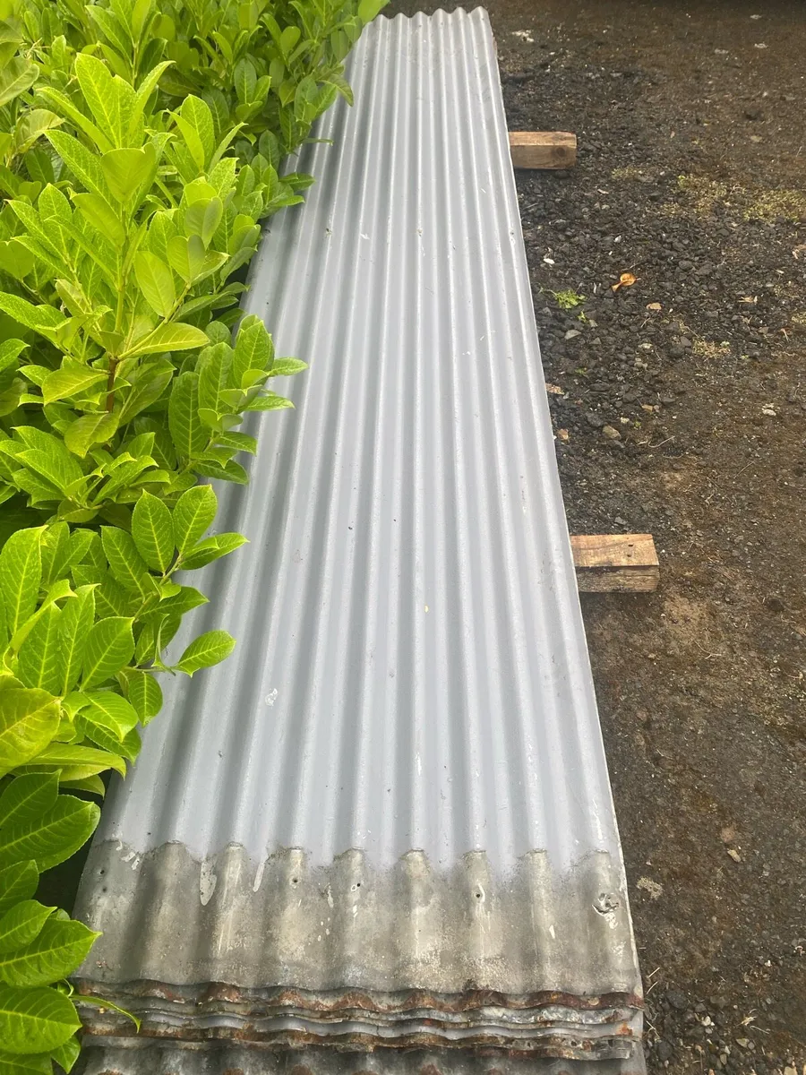 Corrugated iron roof sheets - Image 2