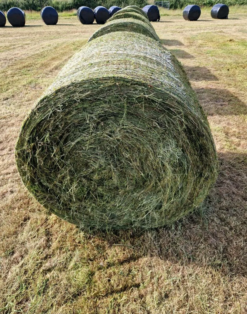 Silage