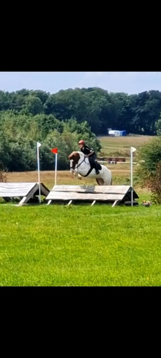 Pony Club Allrounder - Image 2