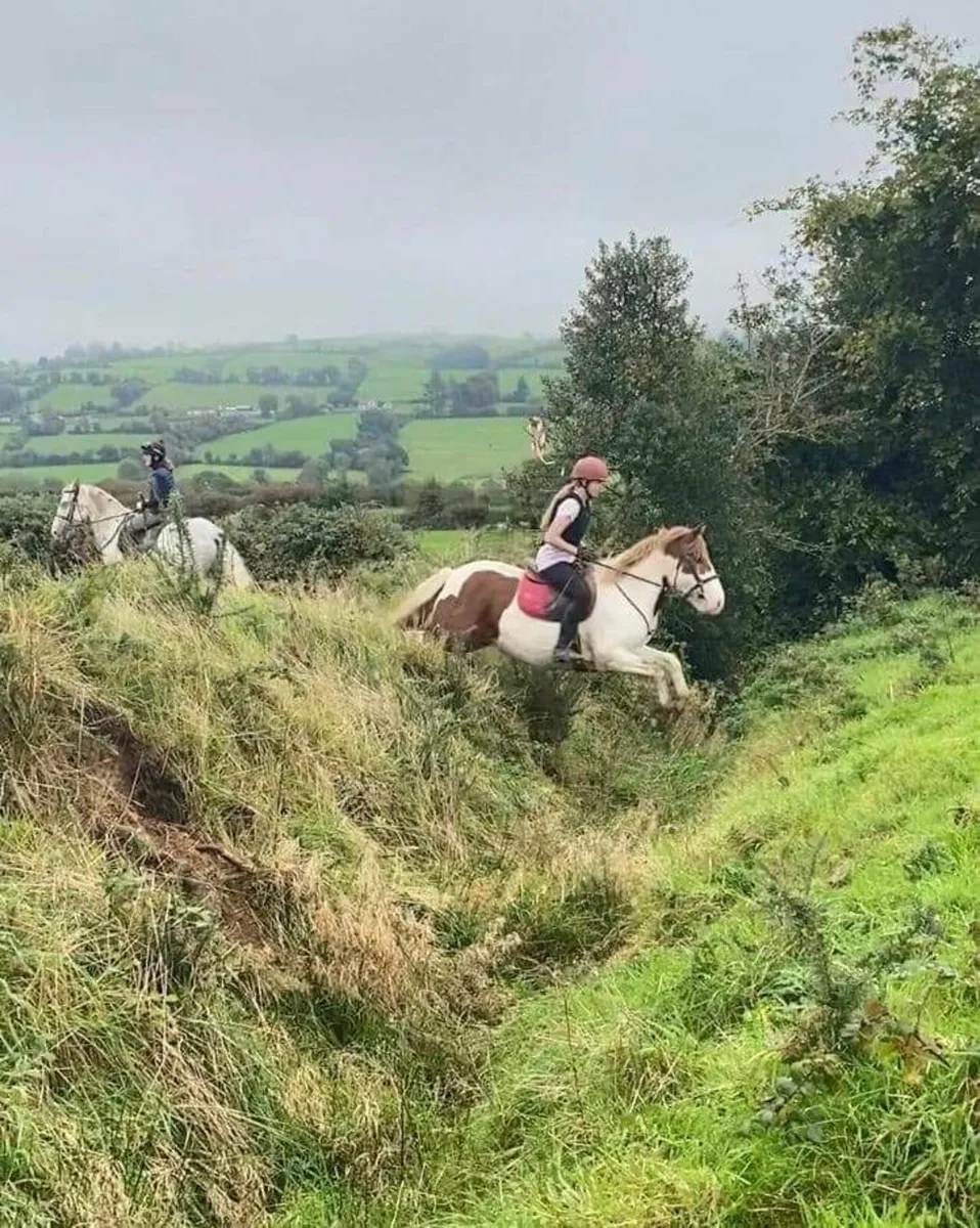 Pony Club Allrounder - Image 3