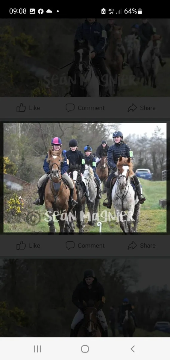 Pony Club Allrounder - Image 4