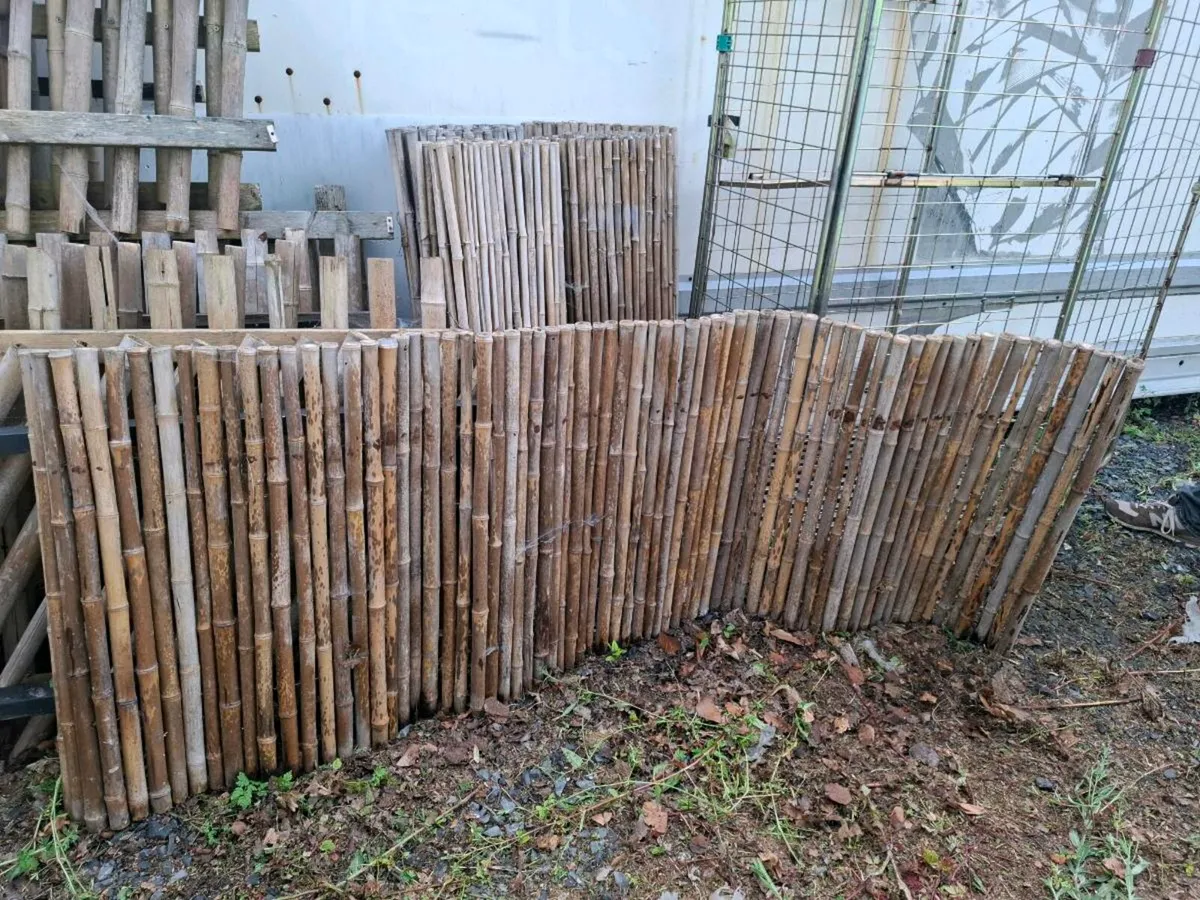 Bamboo fences - Image 3