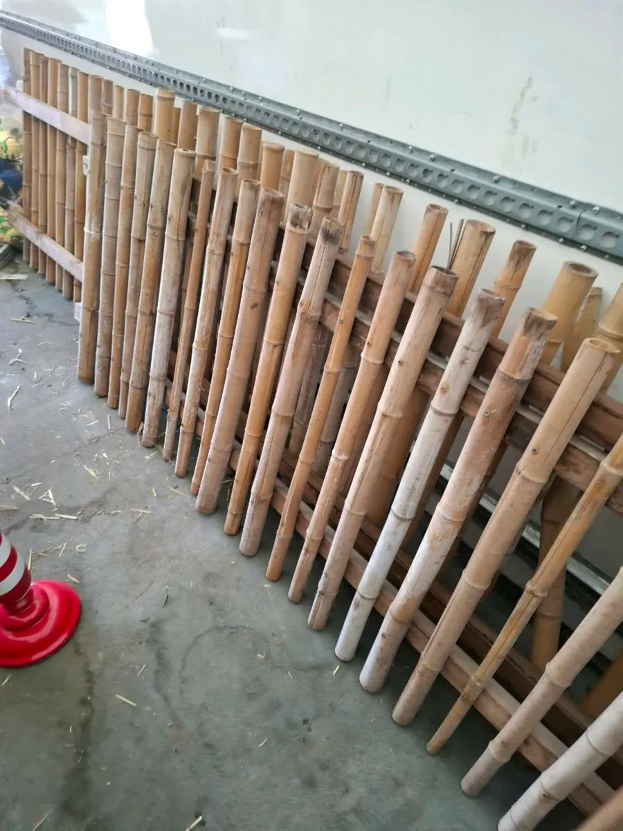 Bamboo fences - Image 1