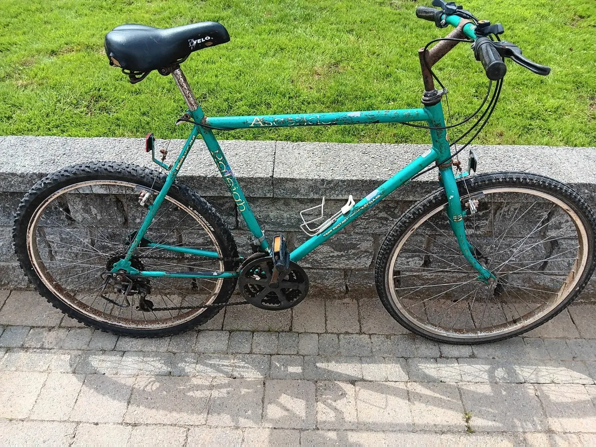 Men’s Mountain Raleigh Bike - Image 2