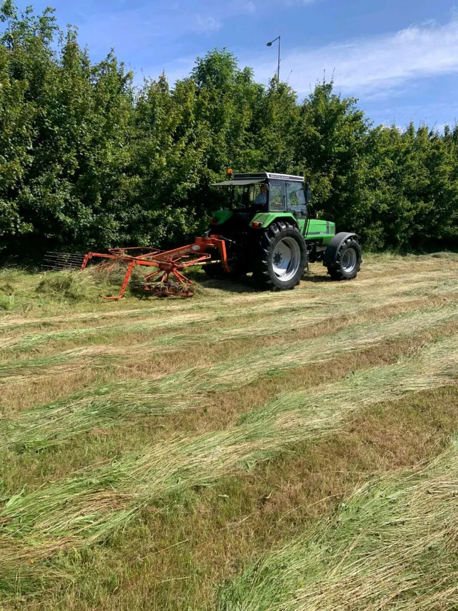 Hay for sale