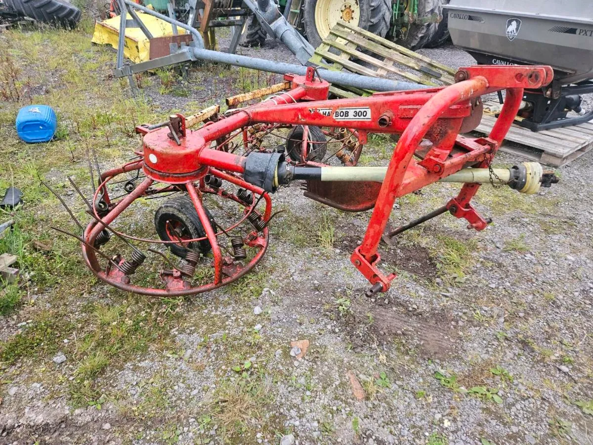 Haybob 300 - Image 1
