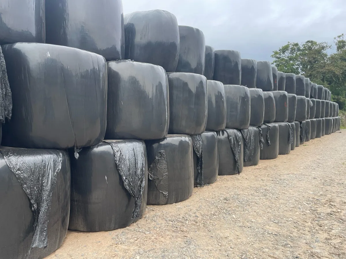 Hay and haylage - Image 2