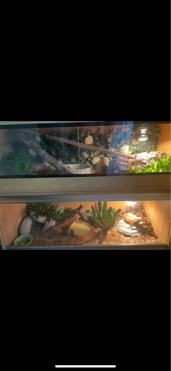 Vivariums - Image 1