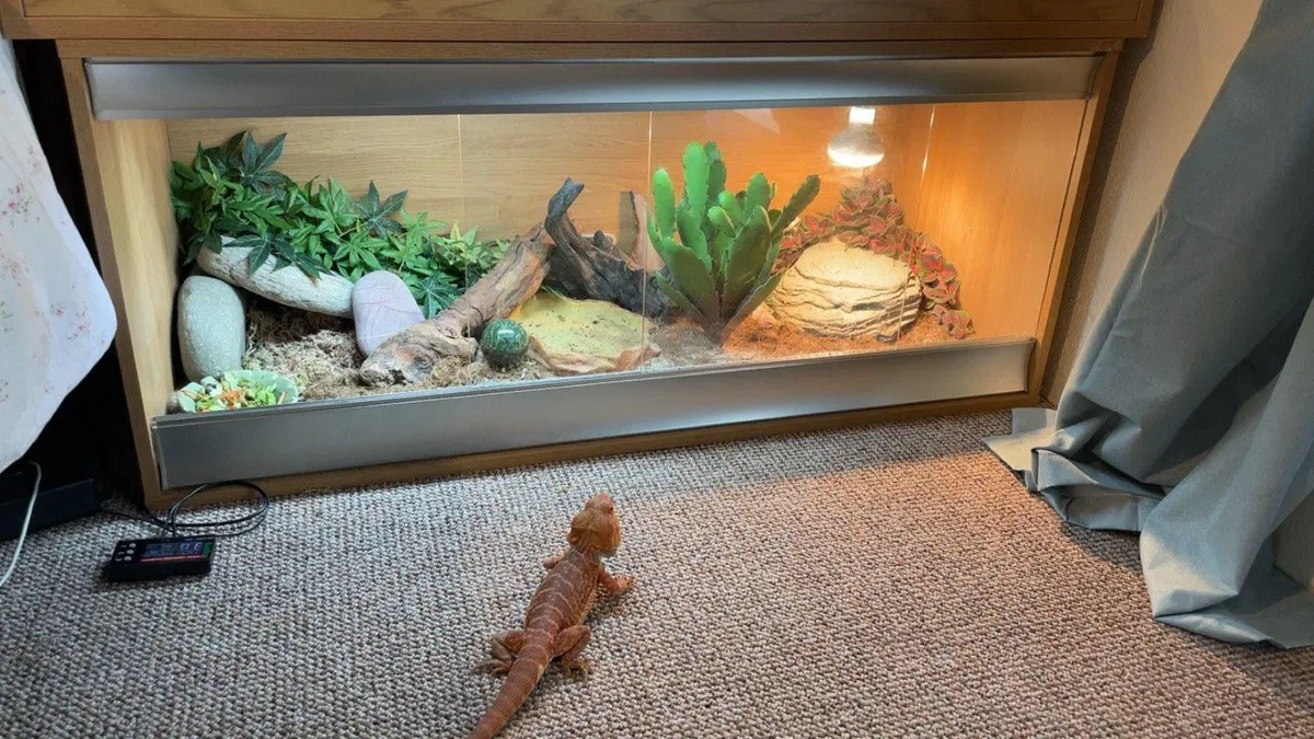 Vivariums - Image 2